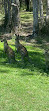 Coombabah Lake Conservation Park