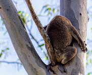 Coombabah Lake Conservation Park