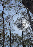 Coombabah Park Car Park