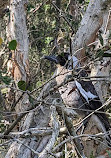 Coombabah Park Car Park