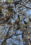 Coombabah Park Car Park