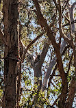 Coombabah Park Car Park