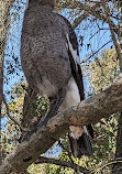 Coombabah Park Car Park