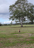 Coombabah Lakelands Conservation Area