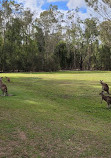 Coombabah Lakelands Conservation Area