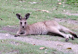 Coombabah Lakelands Conservation Area