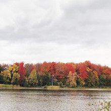 Island Lake Family Park