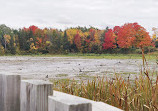 Island Lake Family Park