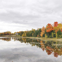 Island Lake Family Park