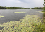 Island Lake Family Park