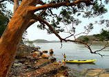 hawkesbury river kayaks