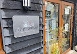 Riverwood Aquatics