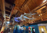 North Carolina Maritime Museum in Beaufort