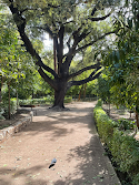 Athens National Garden