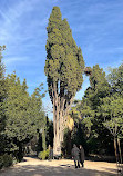 Athens National Garden