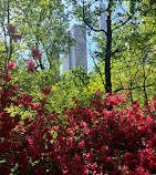 Hallett Nature Sanctuary