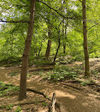 Hallett Nature Sanctuary