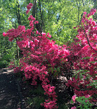 Hallett Nature Sanctuary