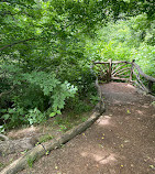 Hallett Nature Sanctuary