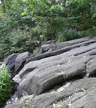 Hallett Nature Sanctuary