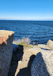 Halibut Point State Park