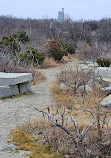 Halibut Point State Park