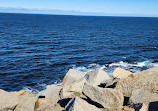 Halibut Point State Park