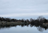 Halibut Point State Park