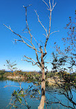 Halibut Point State Park