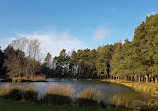 Braidwood Pond