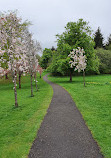 Cumbernauld House Park