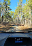 Oconee National Forest