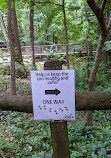 Bear Hollow Wildlife Trail