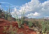 Pyramid Mtn Trailhead