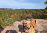 Granite Ridge Trail