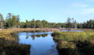 George Island Nature Trail