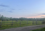 Harmony Acres Campground