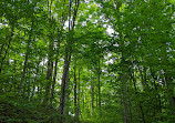 Duncan Escarpment Provincial Park