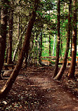 Bruce Trail Lookout