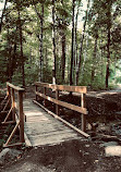 Bruce Trail Lookout