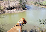 Normanskill Farm Dog Park