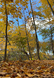 Normanskill Farm Dog Park