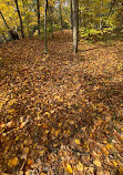 Normanskill Farm Dog Park