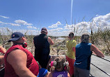 Gator Airboat Rides