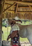 Pioneer Village at Shingle Creek