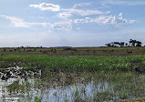 Kissimmee Prairie Preserve Family campground