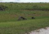 Kissimmee Prairie Preserve Family campground