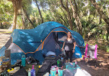 Kissimmee Prairie Preserve Family campground