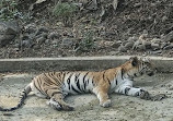 Sanjay Gandhi National Park