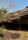 Sanjay Gandhi National Park